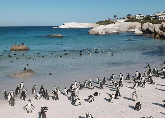 Penguin Haven . Luxury 2 Bedroom, Boulders Beach.